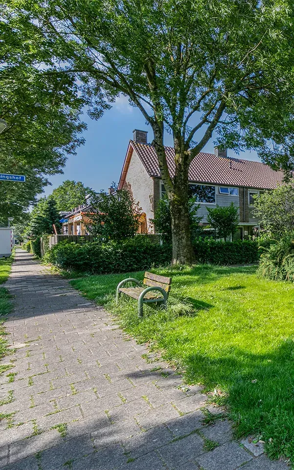 Real Estate Photographers and Videographers